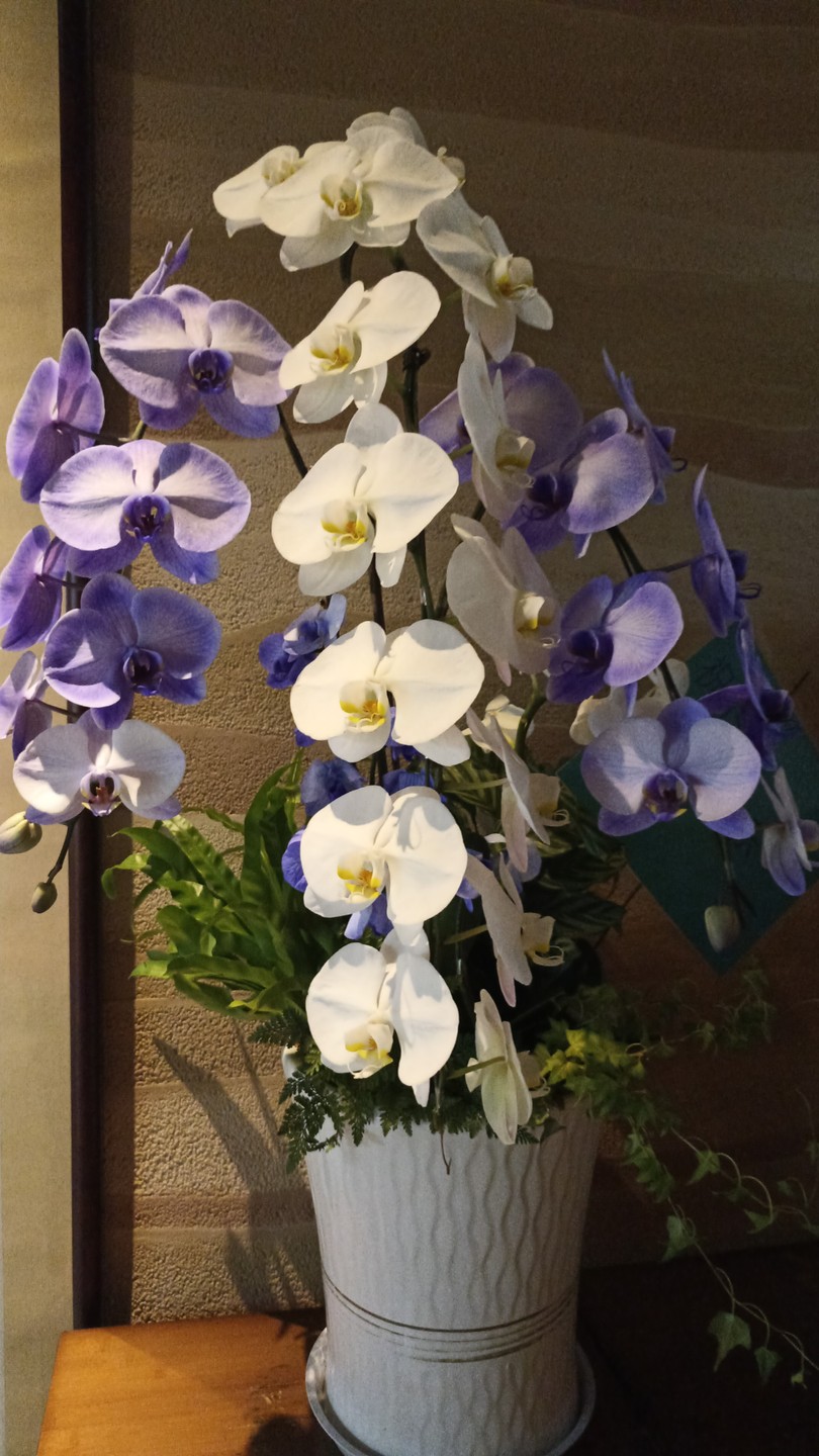 Идеальный вариант экскурсии для людей, котрые хотят узнать про гастрономические пристрастия жителей Шанхая