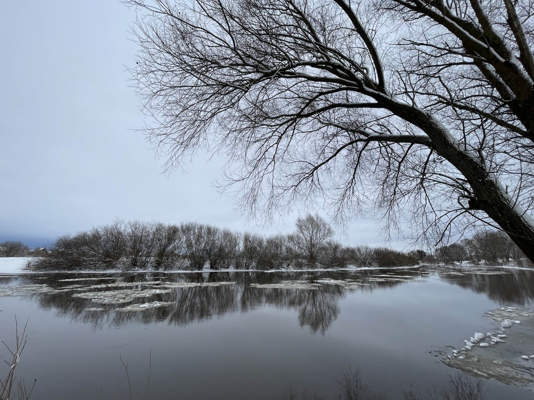 Нас встретили пурга и ветер сразу как только мы прилетели (с опозданием) в Калининград, настроение было близко