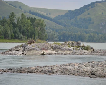 Каменные грибы, переезд к Телецкому озеру