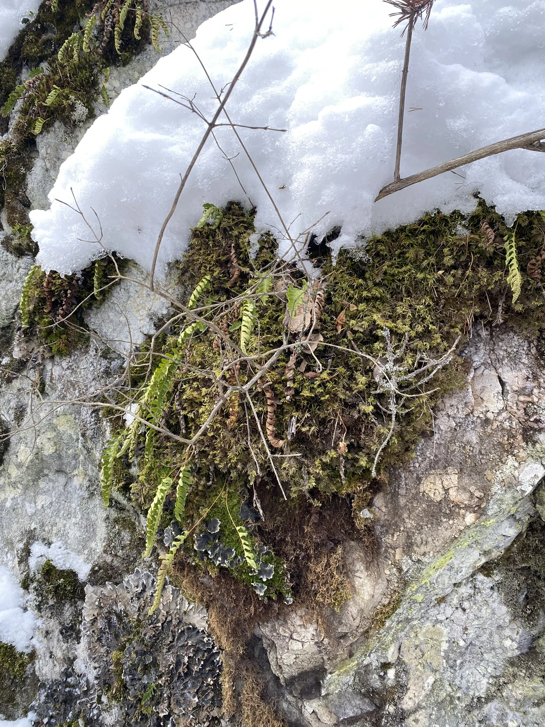 Отличная экскурсия по окрестностям Петрозаводска, места потрясающей красоты! Берите тару, чтобы набрать полезной воды из скважин