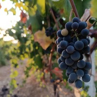 Фото отзыва 1: экскурсия ""