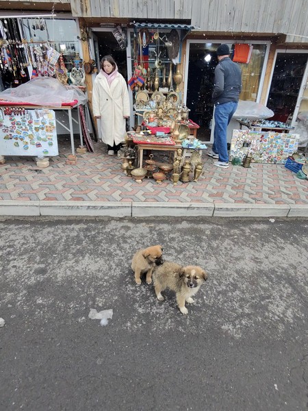 огромная благодарность нашему водителю Норику! очень приветливый, много интересного рассказывал по дороге об истории, местах которые
