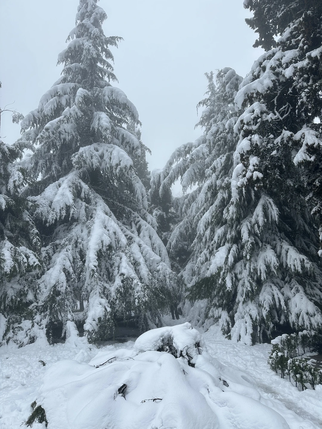 Кахетия: вино, легенды и красота (в группе) (Екатерина)