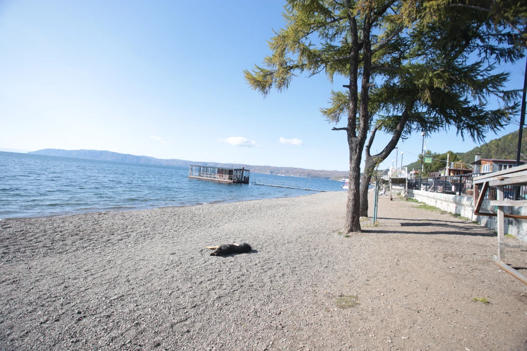 Александр - очень образованный, интеллигентный человек и потрясающий рассказчик!