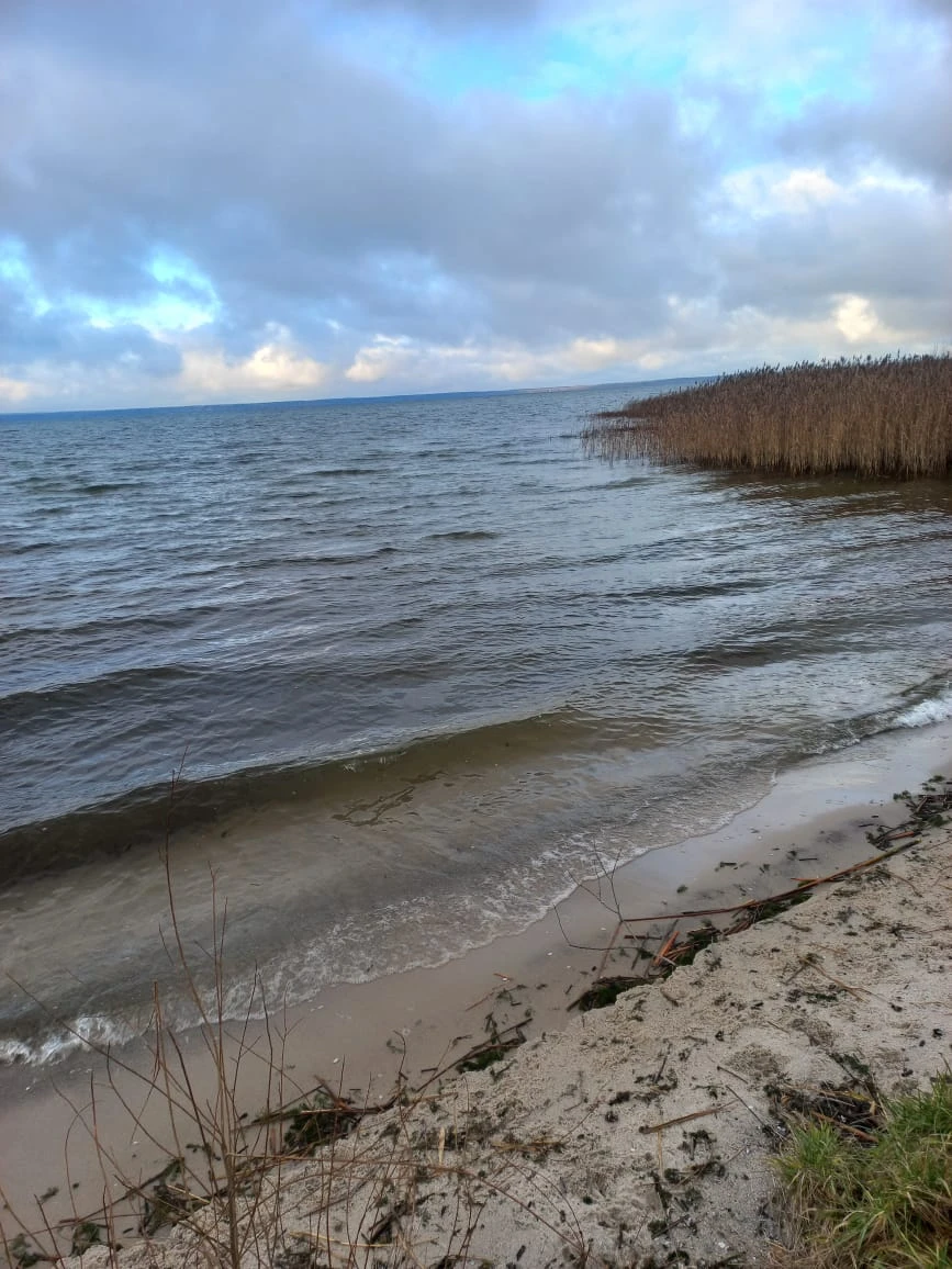 Бронировала экскурсию для родителей, это был подарок папе на день рождения. Им очень понравилось и формат