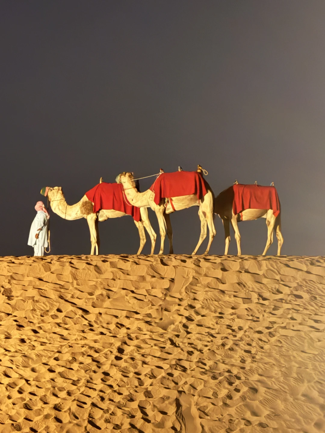 Прекрасная экскурсия! Нам все понравилось!