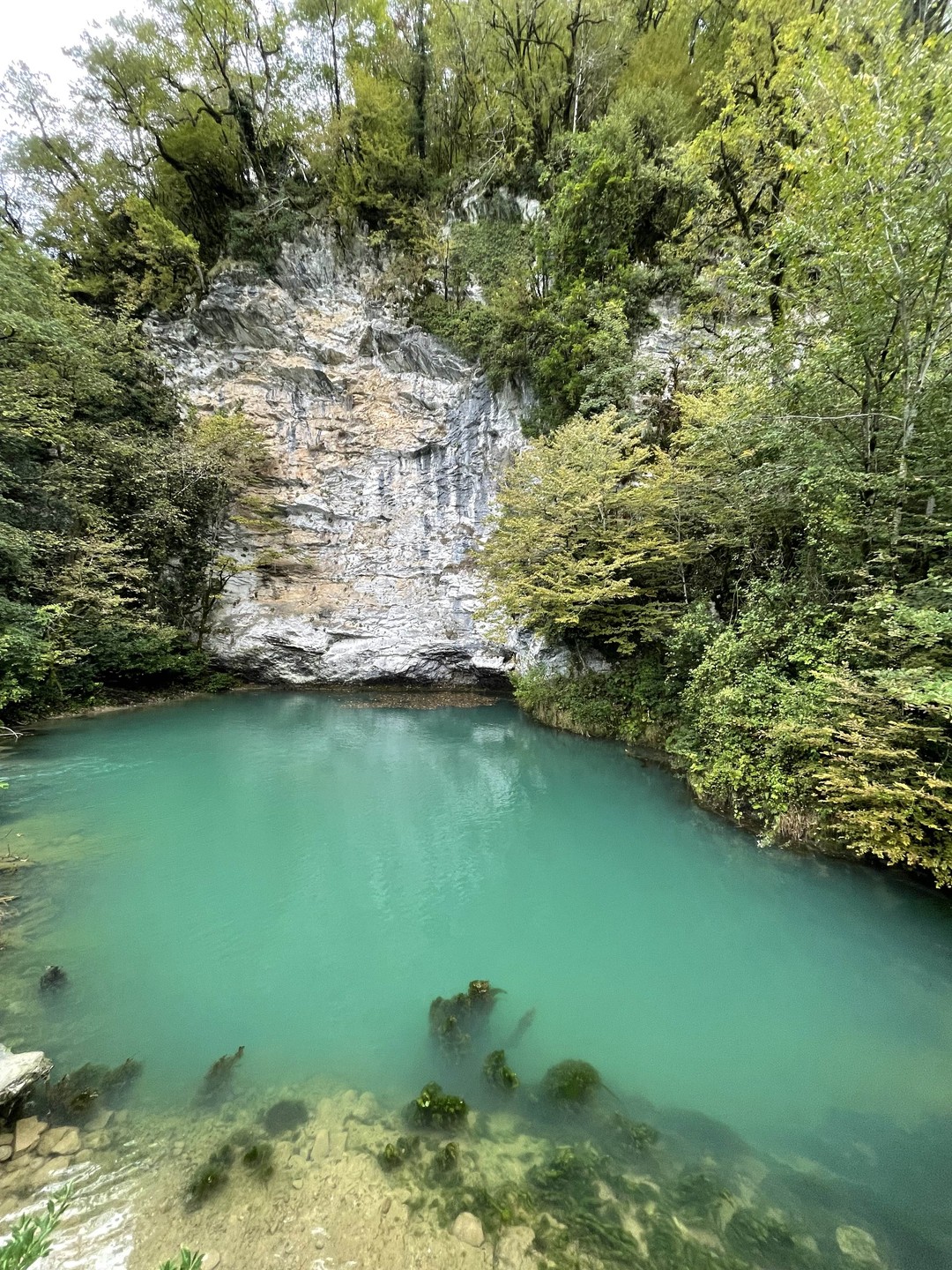 Тур на озеро Рица - к символу Абхазии (Гиляна)