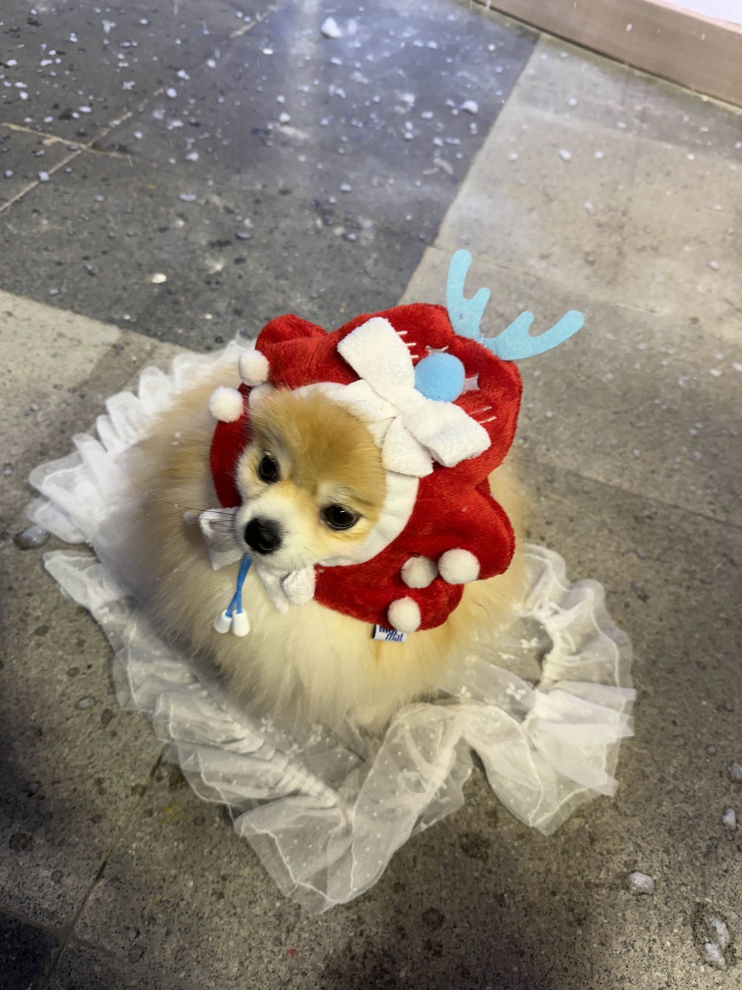 Вечерний Бангкок (Виталий)