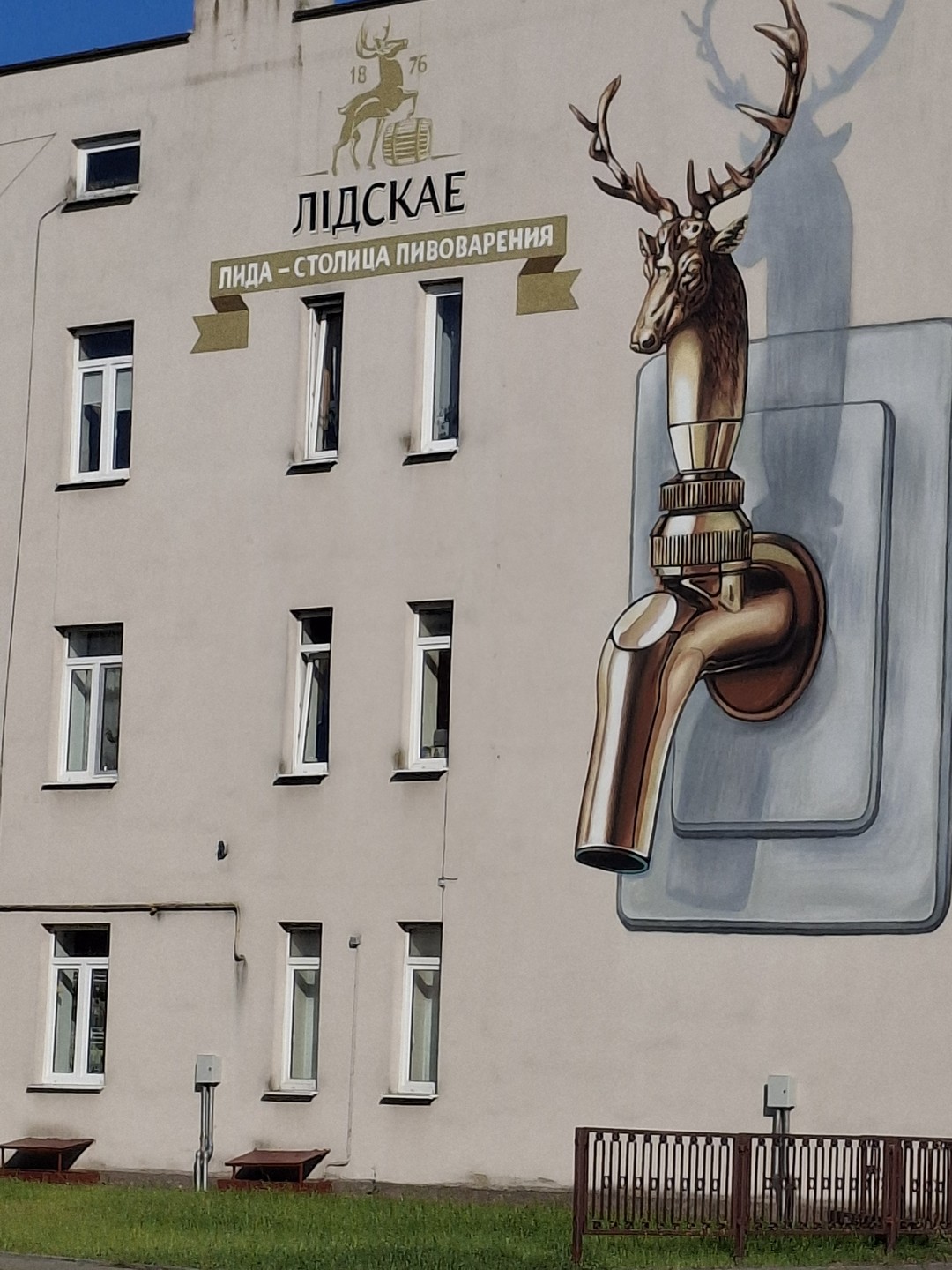 Знакомьтесь, Лида (Елена)