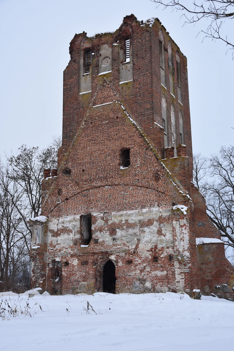 отличный рассказчик. с юмором. рассказал даже больше чем заявлено в программе,потому что проехать,например,мимо ГроссЕгерсдорфа и не