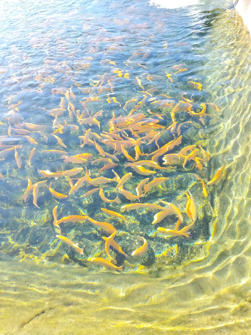 Отличная экскурсия с замечательным гидом! Екатерина забрала нас из аэропорта и мы сразу попали в сказку