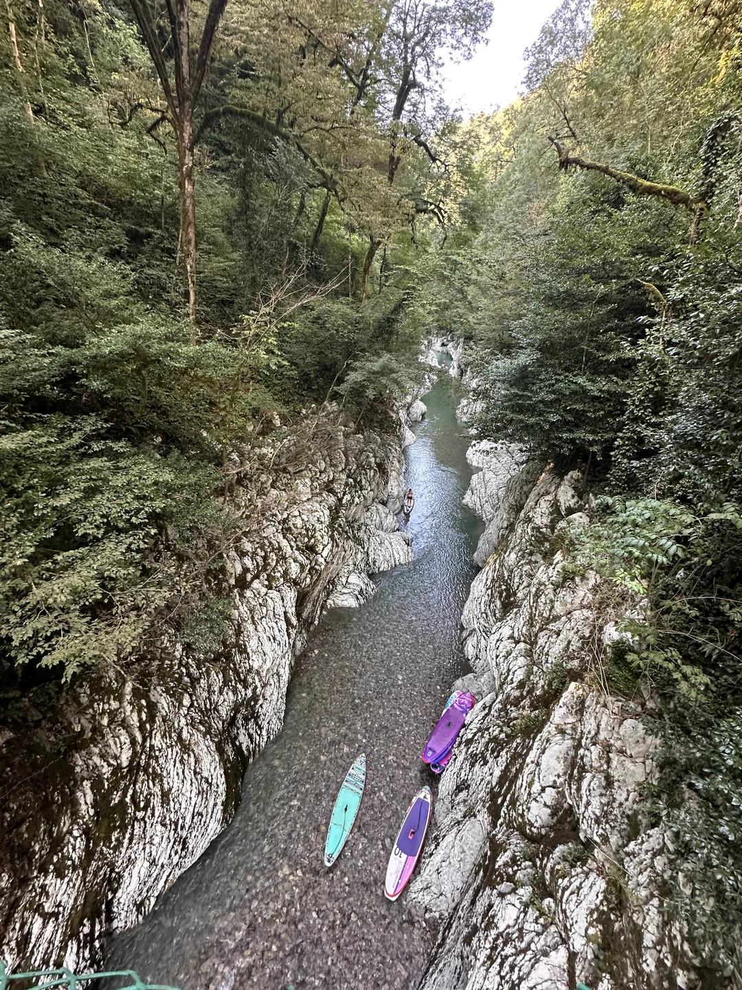Экскурсия очень разнообразная. Погуляли по волшебному самшитовому лесу, залезли на руины, нафотографировались на чайных плантациях, попробовали