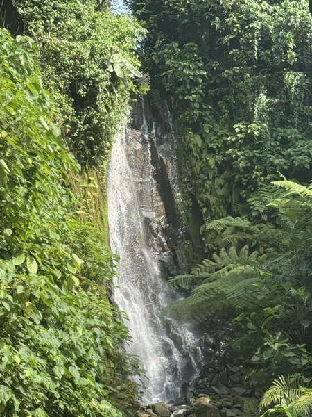 замечательная экскурсия от великолепного гида Мади! Мы проехали 10 часов с юга на север, увидев водопад