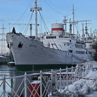 Фото отзыва 1: экскурсия "Набережная музея Мирового океана: семейная экскурсия-квест"