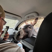 Фото отзыва 2: экскурсия "Кабардино-Балкария, которая останется в вашем сердце"