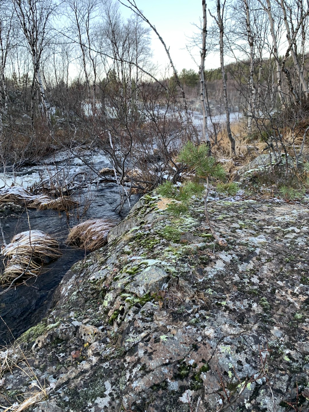 Увлекательная поездка с прекрасными видами северной природы! Восхитительные водопады! Отличный рассказ и об истории Мурманска, и