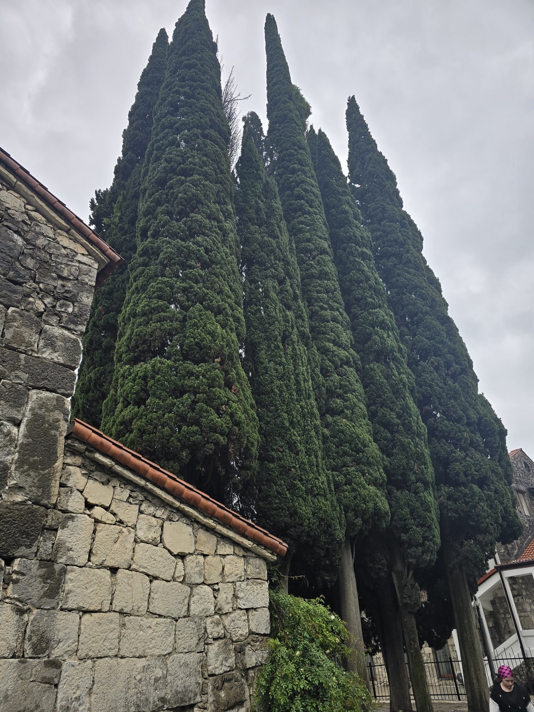 Наше путешествие по Абхазии стало настоящим приключением, и я хочу поделиться впечатлениями. Наш гид Астамур был