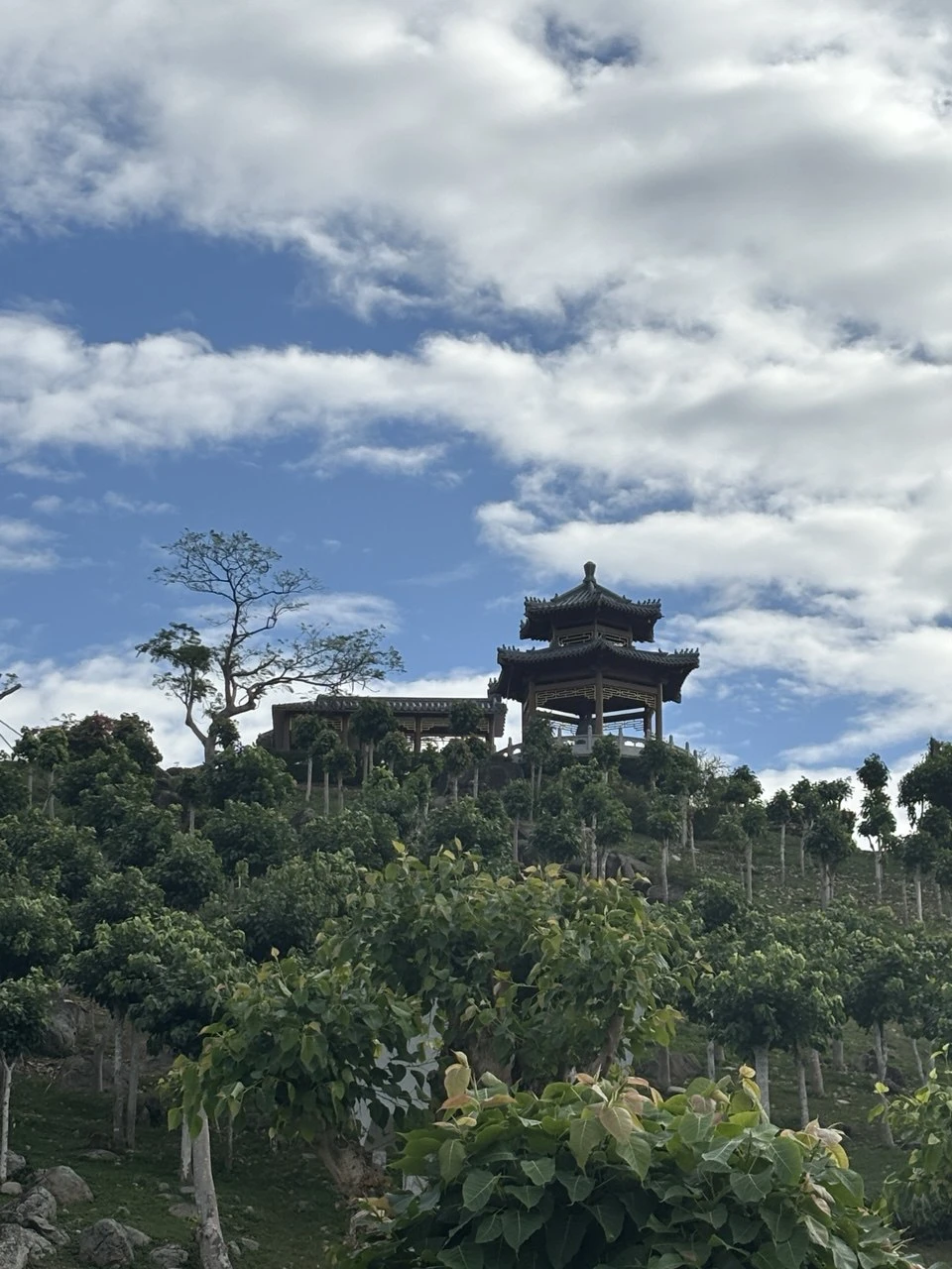 Приехала комфортная машина. Лучше договариваться выезжать в 7 утра, мы выехали в 8, захотели спокойно позавтракать.
