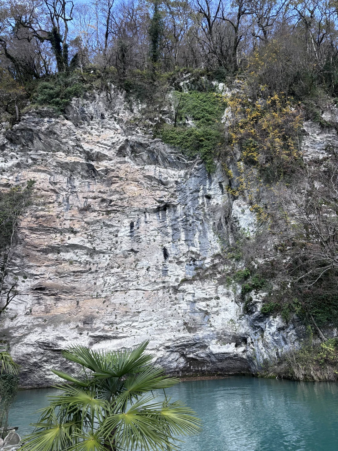 Спокойная и умиротворенная экскурсия,интересные рассказы об Абхазии и очень красивые виды!