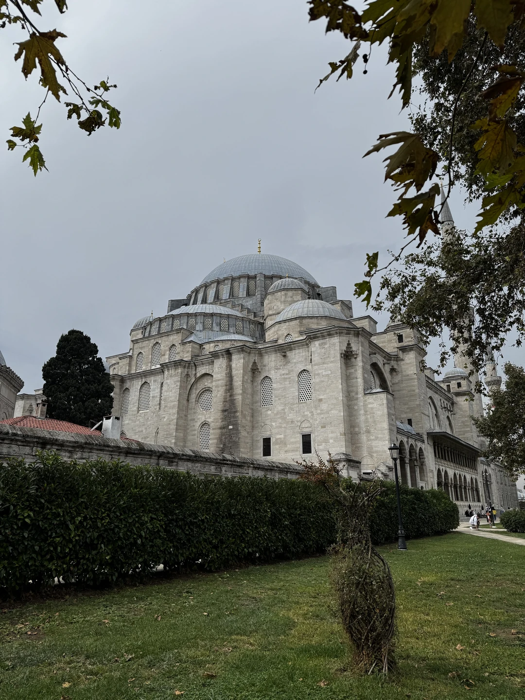 Гюркан вы потрясающий человек и не менее восхитительный экскурсовод. Спасибо вам большое за всё, и за