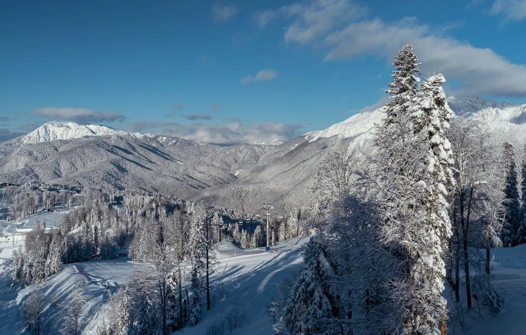 «Газпром Поляна»