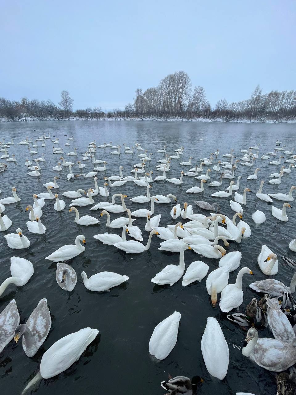 Ожившая зимняя сказка - освобождайте память телефона - захочется фотографировать каждый момент) виды завораживают