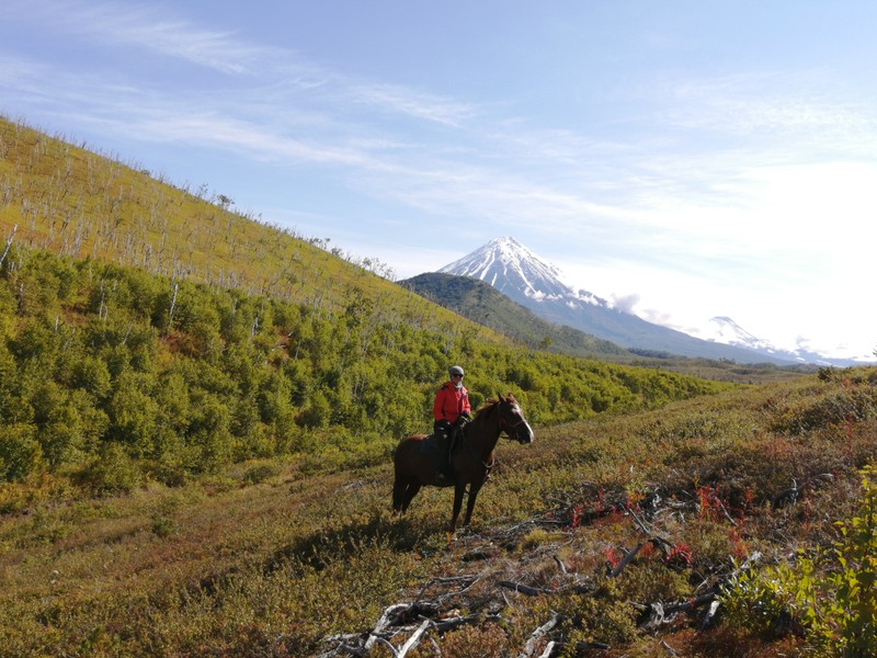 На лошадях к Корякскому вулкану с палатками. Всё включено