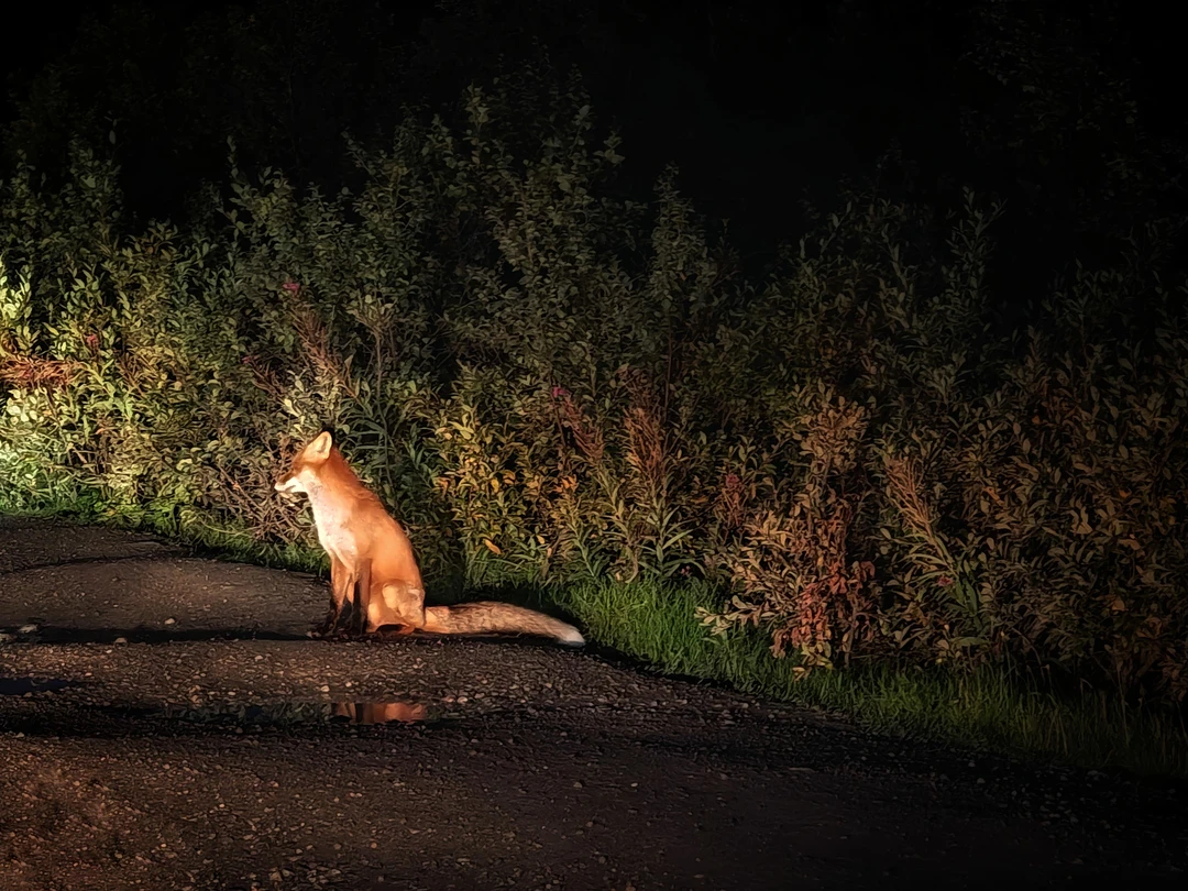 Спасибо организаторам за возможность посетить такие исключительные места относительно недорого, путешествие очень понравилось, дорога трудная из