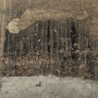 reviews img