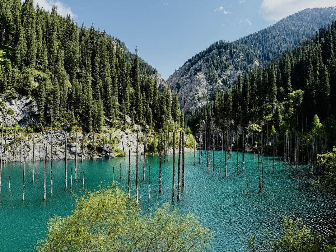 Замечательная экскурсия, виды просто волшебные 😍