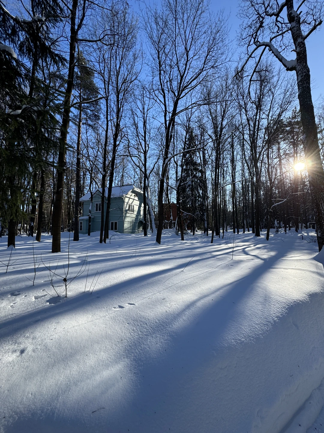 Прогулка была чудесная, очень доступная и интересная подача материала! Сергей замечательный рассказчик! Каждой даче можно посвятить