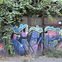 reviews img