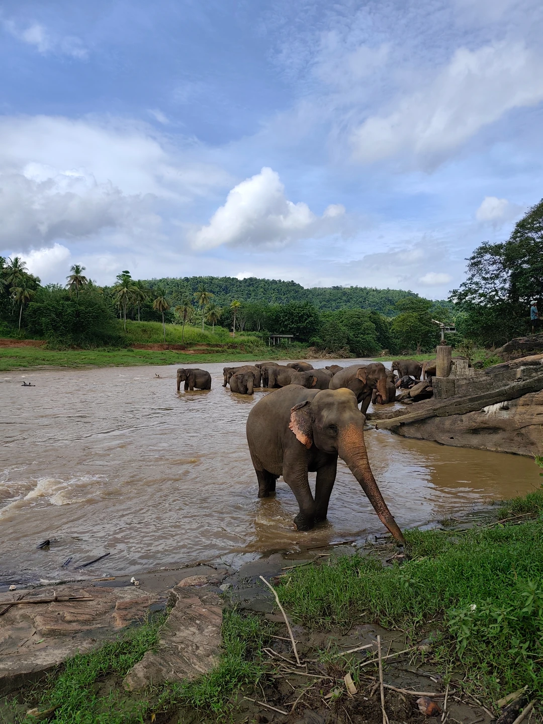 Были на экскурсии 22.11.2025. Наш гид Рифай проявил себя на высшем уровне: отличная организация, пунктуальность и