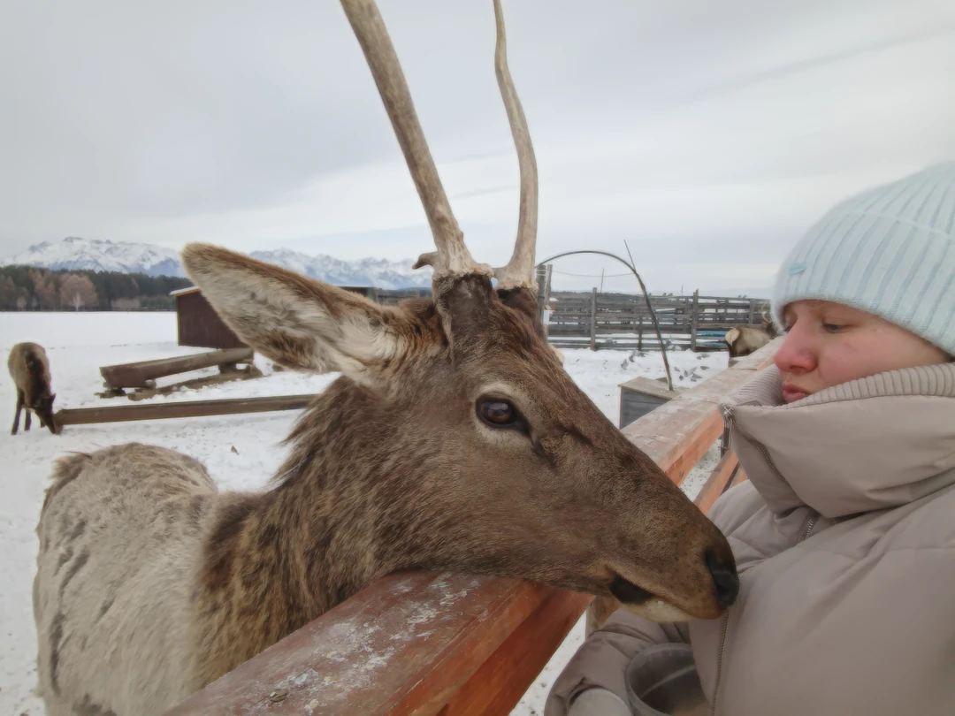 Добрый день!