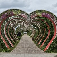 Фото отзыва 1: экскурсия "Из Владикавказа — в возрожденный Грозный!"