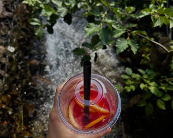 Прогулка по ущелью Домбай-Ульген к Чухурскому водопаду