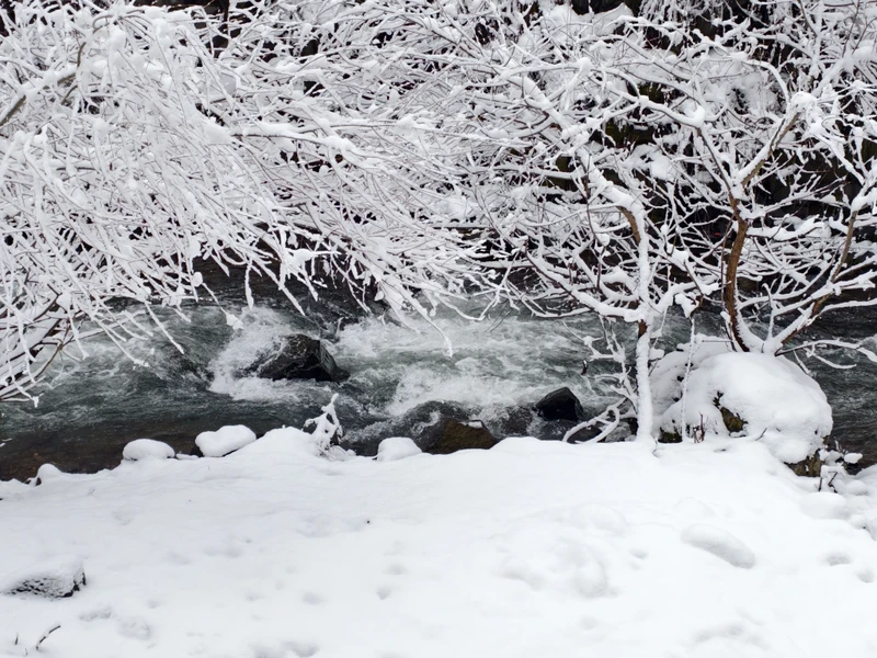 Хочется сказать огромное спасибо, нашей праздничной женской команде Жасмин и Лере. 8 марта прошло великолепно, мы