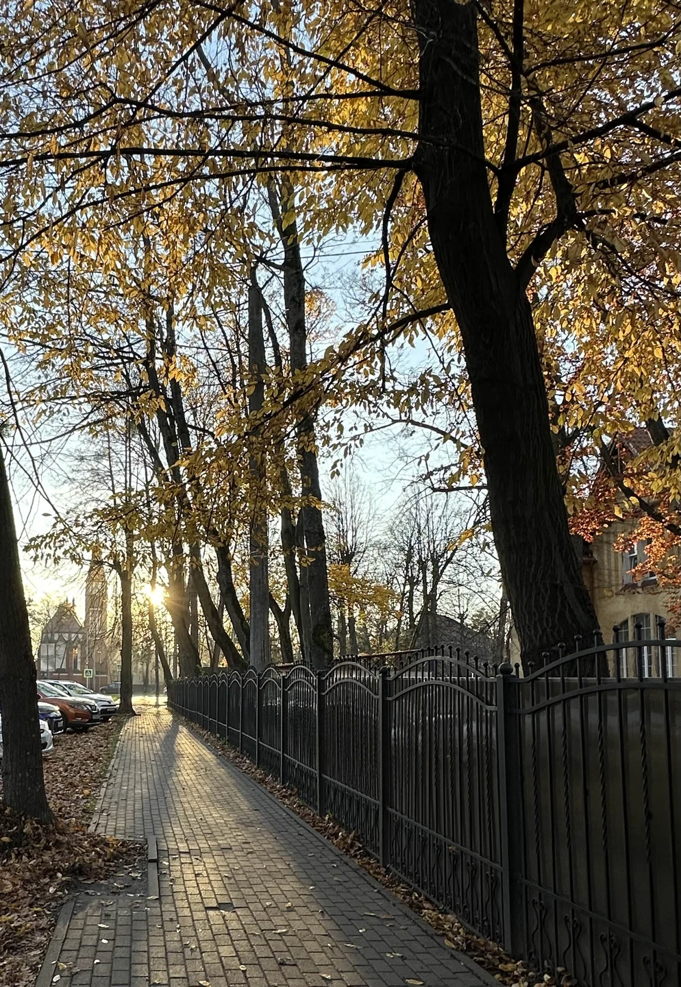 Душевная прогулка по уютным улочкам Амалиенау. Атмосферно и интересно. Спасибо Евгению за информацию о районе, структурированность