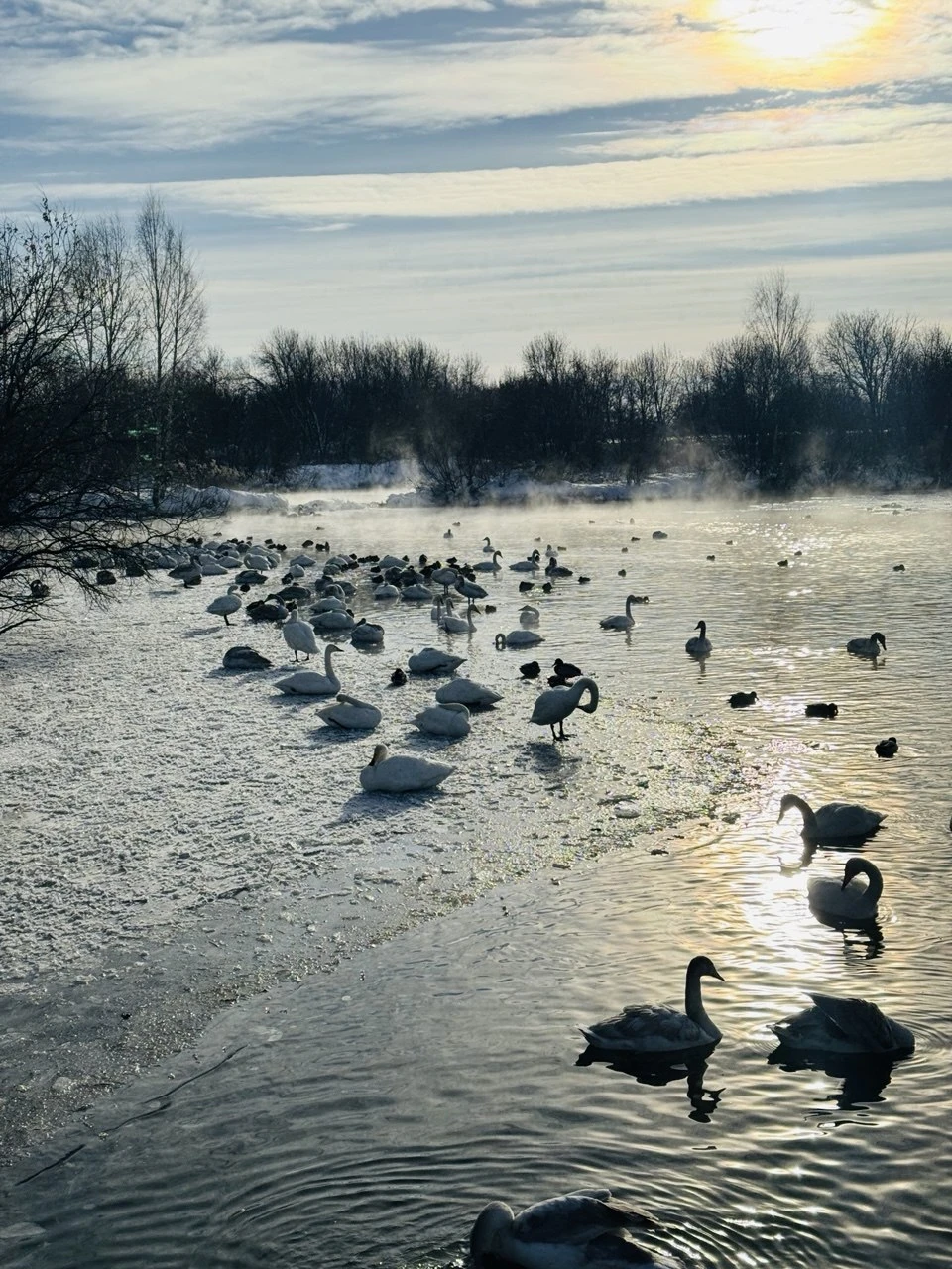 Инна - энергичный, позитивный гид. Отлично, безопасно водит автомобиль. Прекрасно ориентируется в любых сложных ситуациях. Хорошо