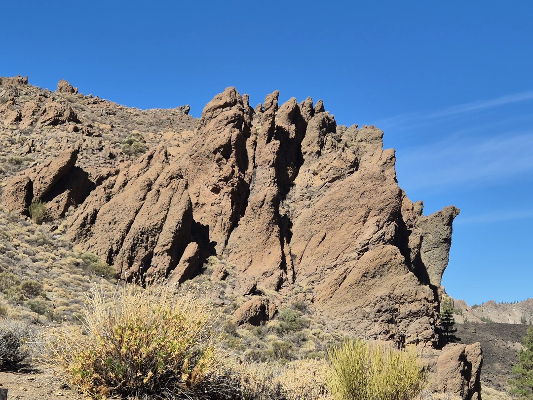 Всё было отлично. Нам понравилось