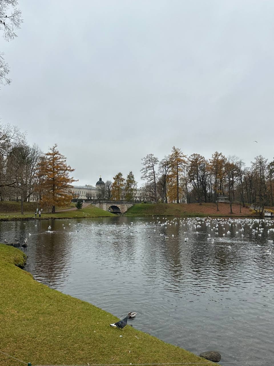 Хочу выразить слова благодарности Татьяне за незабываемую экскурсию по Гатчине. Приятный в общении человек, мы легко