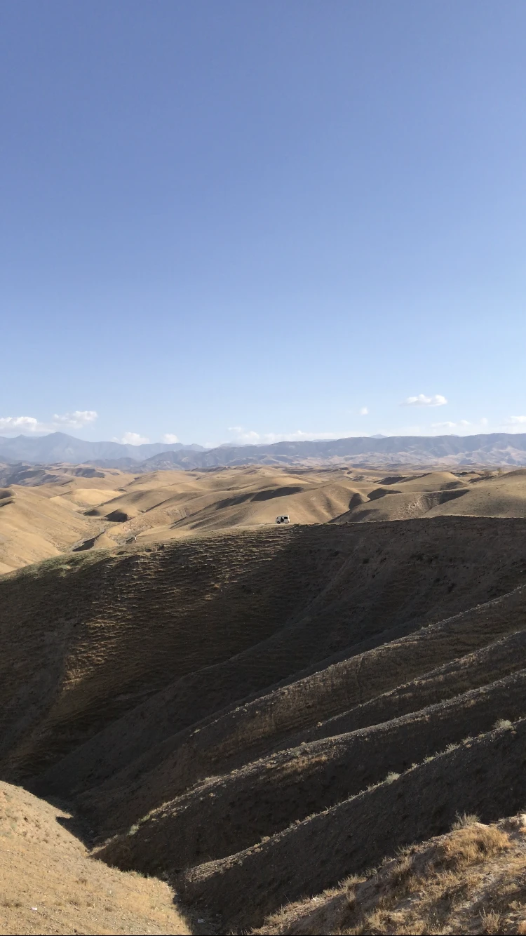 Путешествие из цветущего Ташкента в горный Заамин! По пути зелень сменяется пустыней, коровы уступают баранам, и