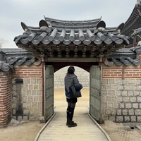 Фото отзыва 1: экскурсия "Исторический Сеул — первая встреча"