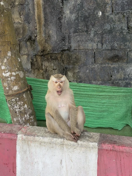 Отличная экскурсия! Влад все время был очень внимателен, учитывал мои пожелания, показал мне за пол дня