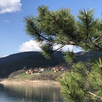 Фото отзыва 1: экскурсия "Национальный парк Тара — сокровище Западной Сербии"