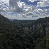 reviews img