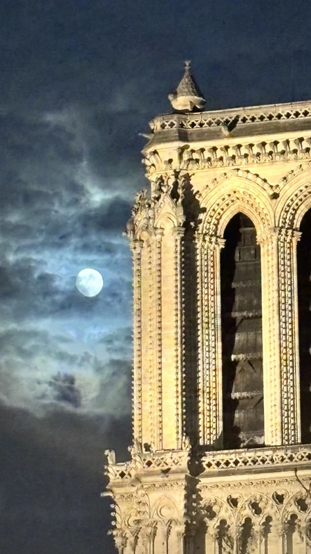 Париж рождается на воде: прогулка по островам Сите и Сен-Луи