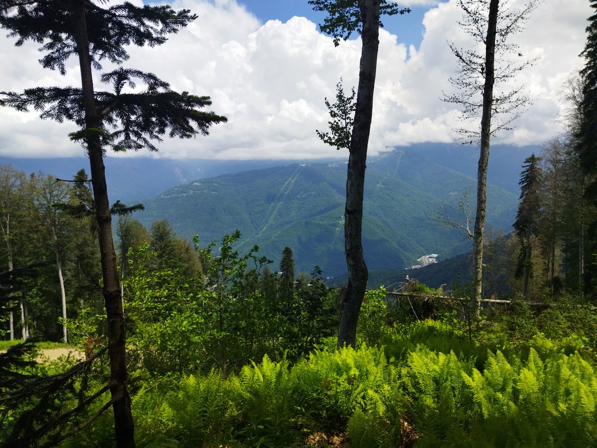 Из Сочи — в горную сказку (8/20)