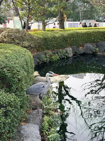 Фото отзыва 2: экскурсия "Самые-самые места Токио"