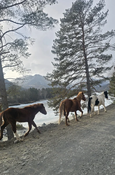 Замечательная экскурсия с Вячеславом! Главное его достоинство — гибкость и внимание к туристам. Вячеслав с первого